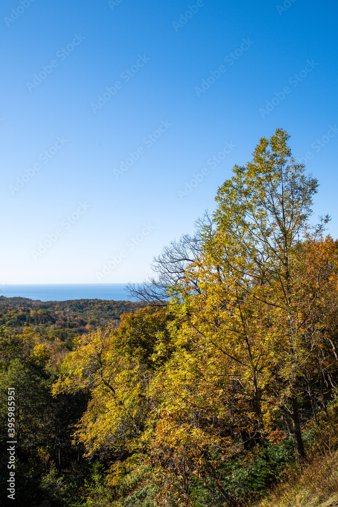 秋の知床　カムイワッカへの道から見た紅葉の原野とオホーツク海（北海道・斜里町）