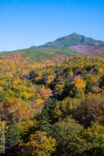 秋の知床 カムイワッカ湯の滝付近の紅葉（北海道・斜里町）