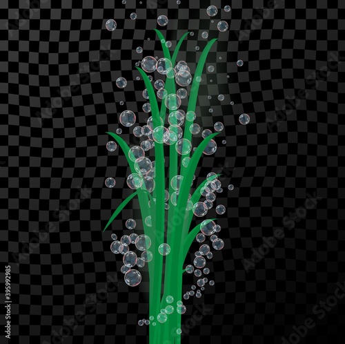 Vector background with green underwater plants, algae and bubbles. For web design, print, postcards, posters, magazines, newspapers, booklets, stickers.
