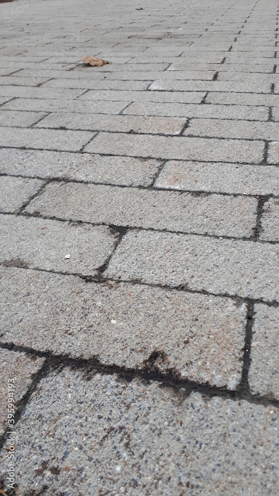 Obraz premium Outdoor Patern