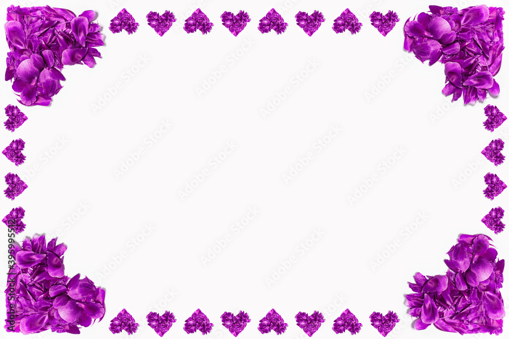 Valentine's day card. Purple flower petals in shape of hearts on white background with mockup; copy space.