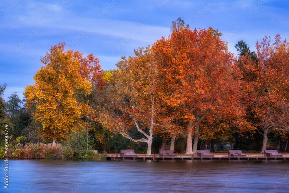 Colorful trees on the central island of the Boating Lake of Szombathely, Hungary during an autumn evening Colorful trees on the central island of the Boating Lake of Szombathely, Hungary during an autumn evening