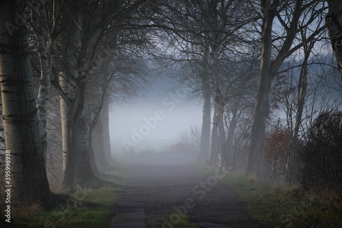 Weg im Nebel