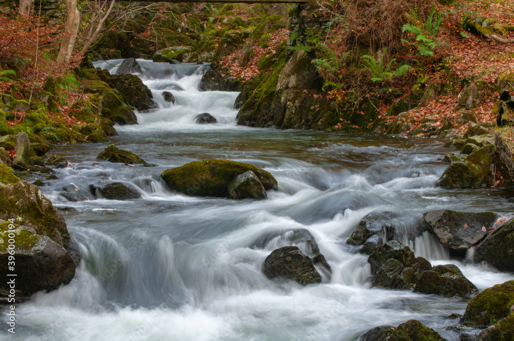 Naklejka premium Lake District stream in autumn colours