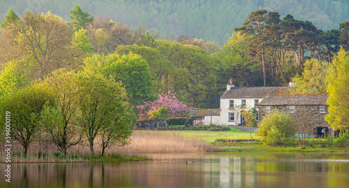 Spring colours on Derwentwater