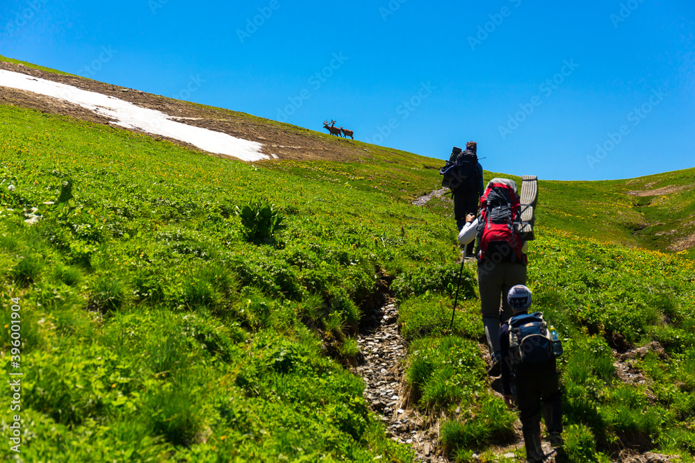 Obraz premium Beautiful mountain landscape with tourists hiking at Caucasus mountains.