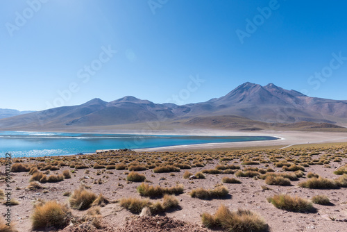 laguna miscanti chili désert photo