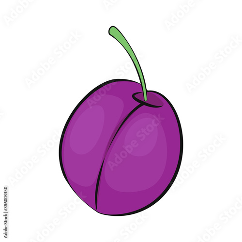 Plum vector isolated. Organic food vector illustration. Fruit isolated. No background. Vegan food. Fruits vector illustration. Flat cartoon style.