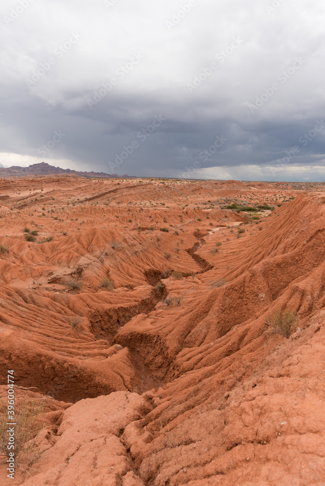 Fototapeta premium vallée calchaquies argentine nord ouest