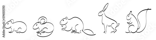 Black outline set of squirrel, mouse, hamster, hare, rabbit, guinea pig, beaver