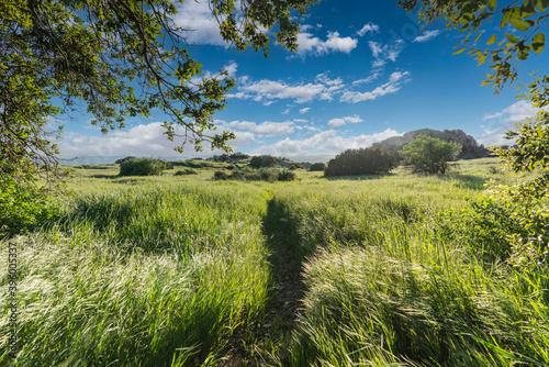 Santa Susana Pass Mountains...