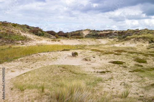 Landscape with dunes under a clouded sky  national park Meijendel