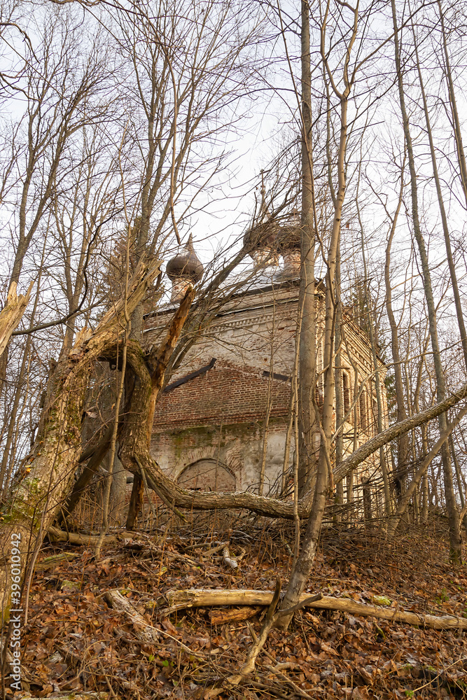 Obraz premium abandoned temple among the trees