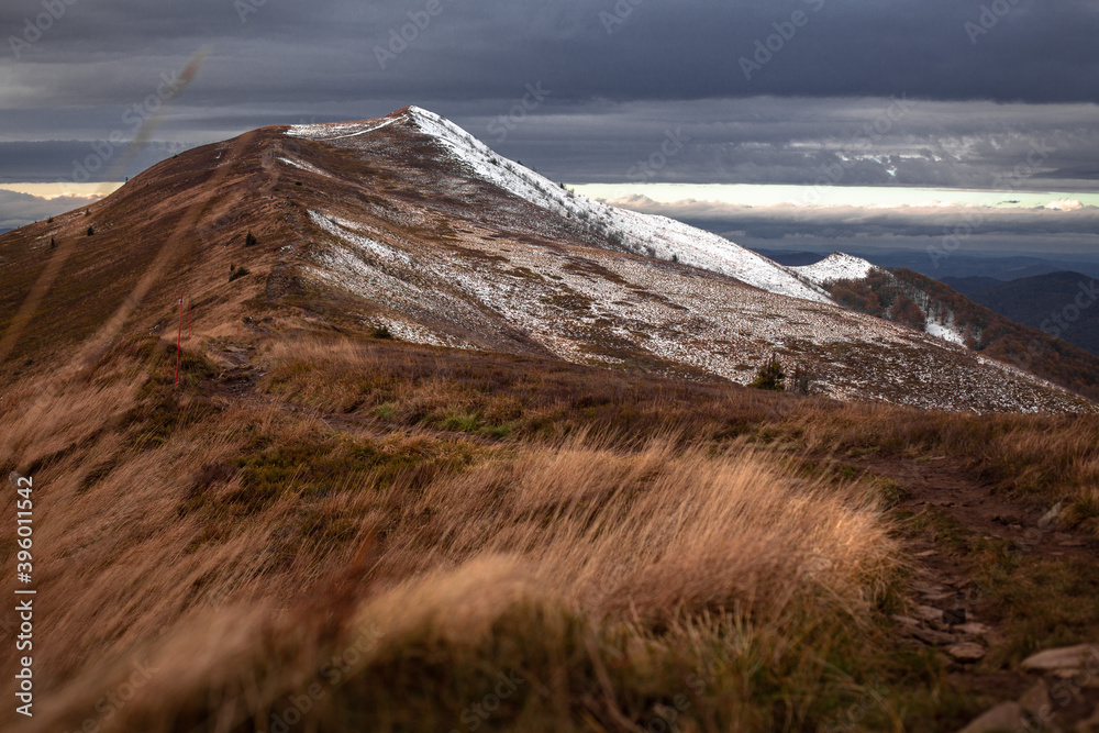 Naklejka premium Pożółkłe trawy na szczycie Połoniny Caryńskiej u schyłku jesieni. Początek zimy w górach, Bieszczady, Polska