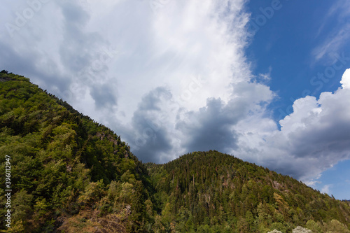 mountain covered with trees against cloudy sky, used as background or texture © glavbooh