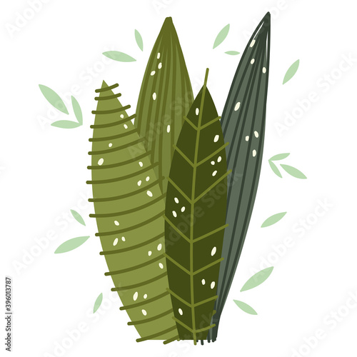 foliage leaves nature greenery frond design