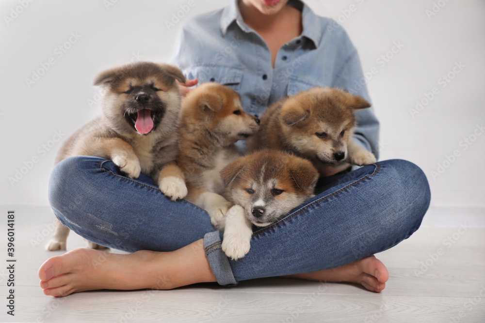 Woman with Akita Inu puppies sitting on floor near light wall, closeup Woman with Akita Inu puppies sitting on floor near light wall, closeup