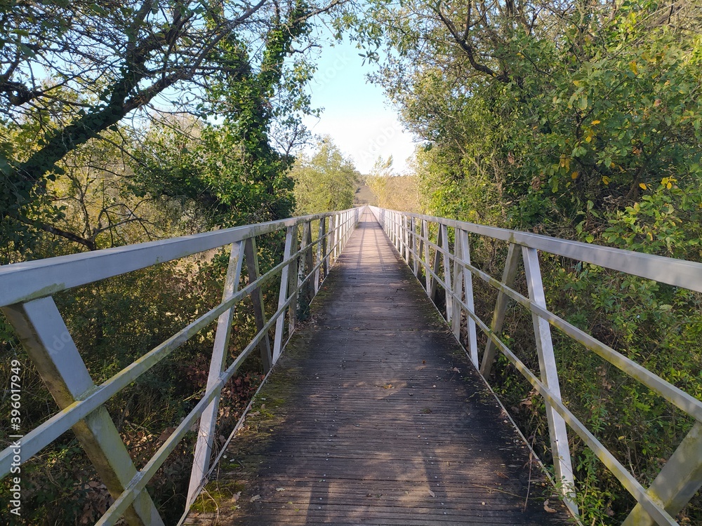 Fototapeta premium bridge