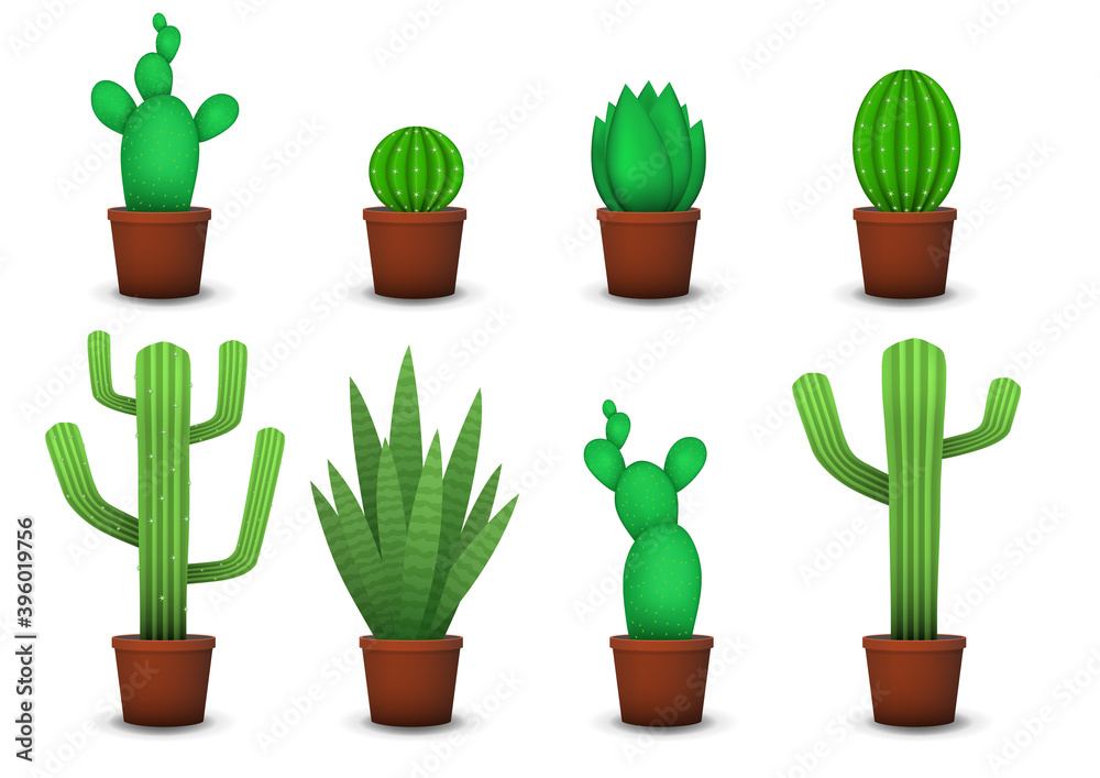 Realistic succulents and cactus plants
