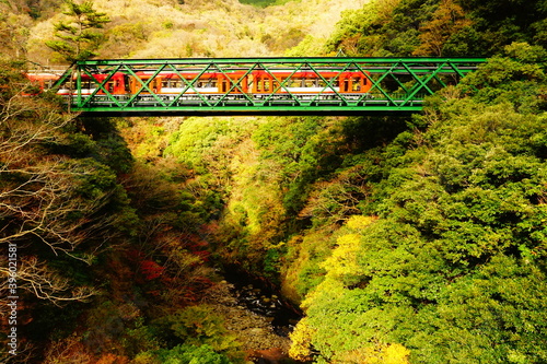 箱根早川に架かる鉄橋を通る登山鉄道
