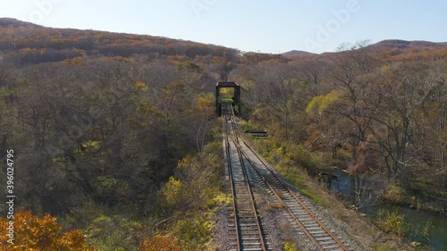 Abandoned railway bridge in autumn forest