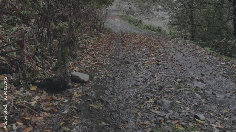Personal Perspective of Walking in nature. Road in mountain village, Steady Cam Shot. Pov of Hiker Walking in the forest in Azerbaijan Personal Perspective of Walking in nature. Road in mountain village, Steady Cam Shot. Pov of Hiker Walking in the forest in Azerbaijan