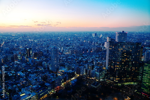冬空の夕闇迫る新宿の街並み © pocketalbum