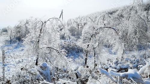 Ice tale on a frosty morning in russian countryside