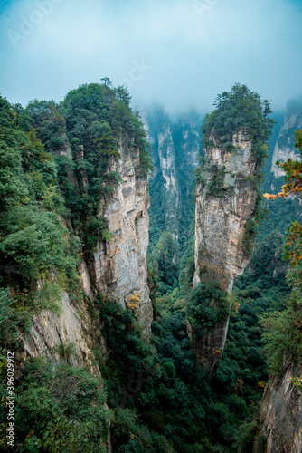 Amazing landscape of mountain and forest in the foggy at Wulingyuan  Hunan  China. Wulingyuan Scenic and Historic Interest Area which was designated a UNESCO World Heritage Site in China