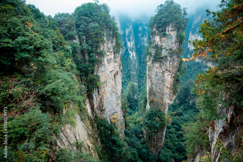 Amazing landscape of mountain and forest in the foggy at Wulingyuan, Hunan, China. Wulingyuan Scenic and Historic Interest Area which was designated a UNESCO World Heritage Site in China