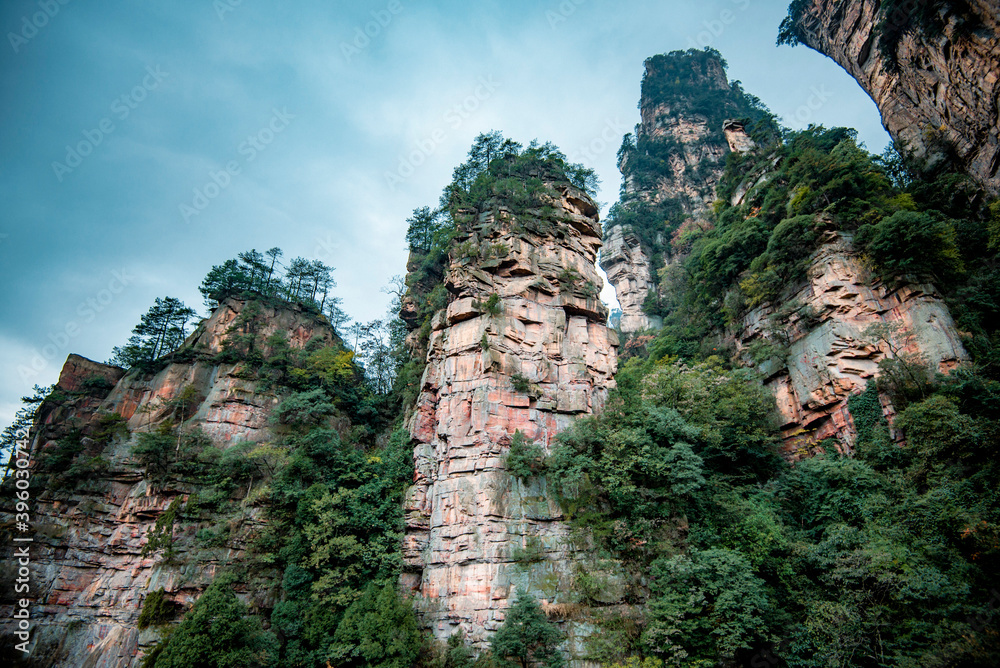 Amazing landscape of mountain and forest in the foggy at Wulingyuan, Hunan, China. Wulingyuan Scenic and Historic Interest Area which was designated a UNESCO World Heritage Site in China