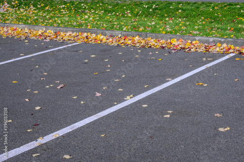 Fallen colorful fall leaves piled against curb in a parking lot
 photo