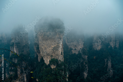 the mountain and forest in foggy at at Wulingyuan. Wulingyuan Scenic and Historic Interest Area which was designated a UNESCO World Heritage Site as well as an AAA scenic area in china.