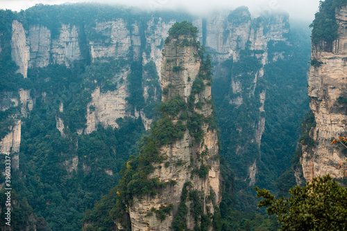 the mountain and forest in foggy at at Wulingyuan. Wulingyuan Scenic and Historic Interest Area which was designated a UNESCO World Heritage Site as well as an AAA scenic area in china.