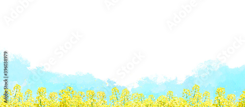 Fototapeta Naklejka Na Ścianę i Meble -  青空と菜の花畑　背景は水彩タッチ
