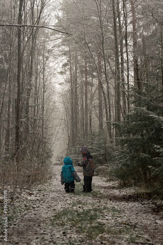 Small children walking under first snow. High quality photo. Magic forest. Brothers are best friends.