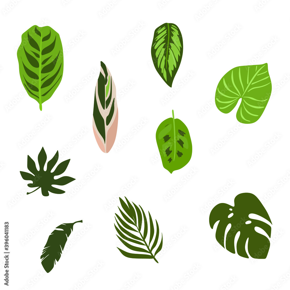 Vetor de indoor plants clipart large botanical clipart interior clipart