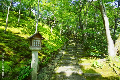 Jojakko-ji Temple, Sagano, Kyoto City, Kyoto Pref., Japan photo