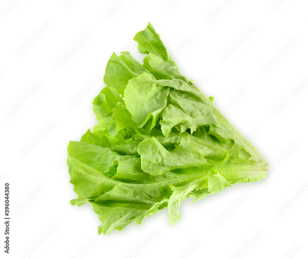 Top view of Green oak lettuce isolated on white background. Top view of Green oak lettuce isolated on white background.