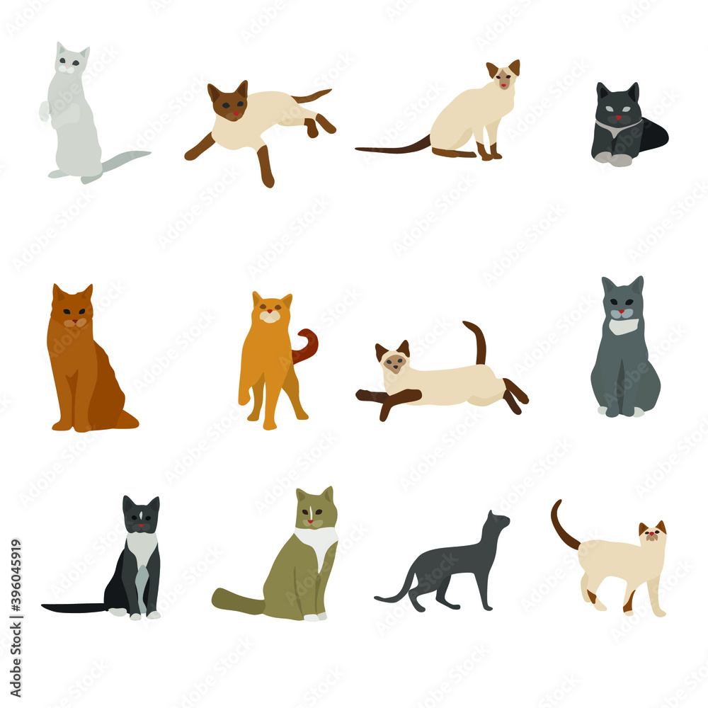 Cat clip art set-hand drawn cat breeds-digital SVG vector-cute animals Pets-business clip art collection-kitten-stickers-living room clipart