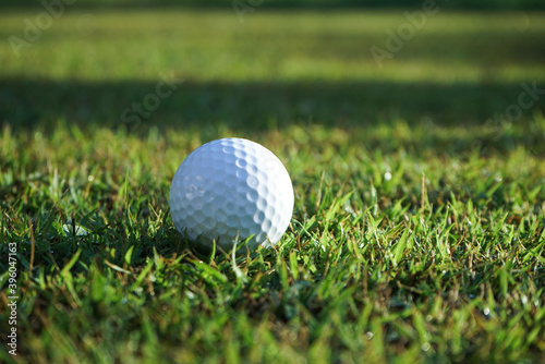 Golf ball on green grass in beautiful golf course in Thailand