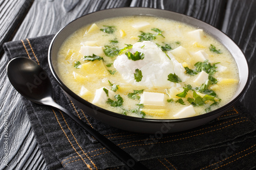 Andean Soup pisca Andina it consists of potatoes, milk, egg, Fresh cheese and is flavored with cilantro close-up in a bowl on the table. Horizontal photo