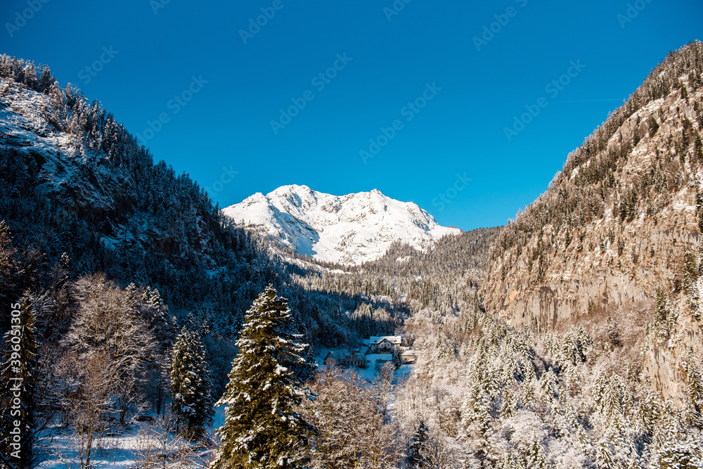 Winter landscape with coniferous forest at mighty Alps