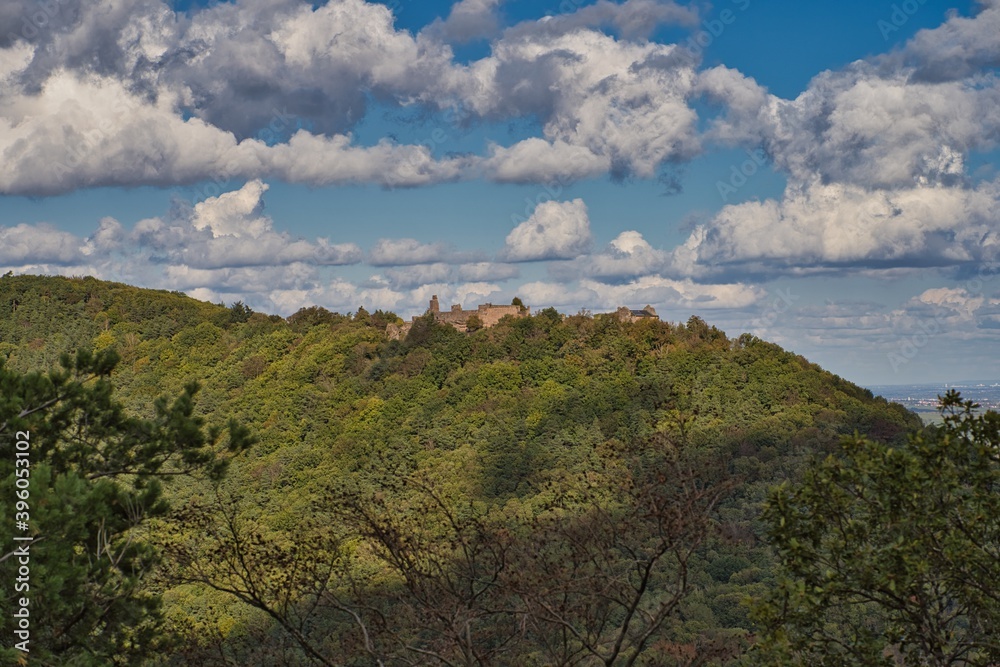 Burgruine in der Ferne auf Wald