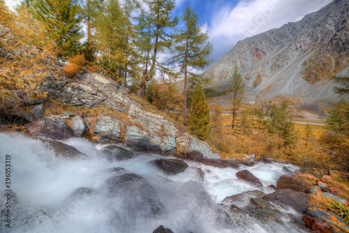 A large stream of water flows down the mountain. Bushes with yellow autumn foliage. Natural background with a waterfall. Shooting direction from top to bottom. Soft focusing on water flow and rocks.