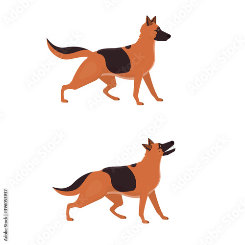 German shepherd. Guard dog barking, vector illustration