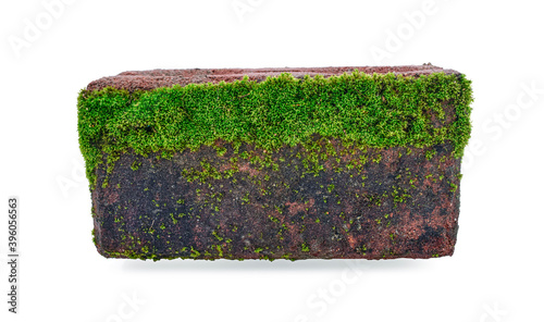 green moss on stone brick on white background.