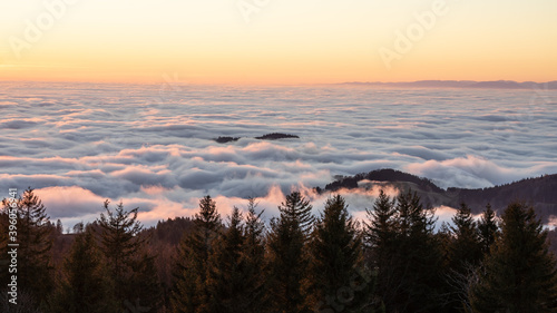 Wolkendecke mit freien Gipfeln Schwarzwald photo