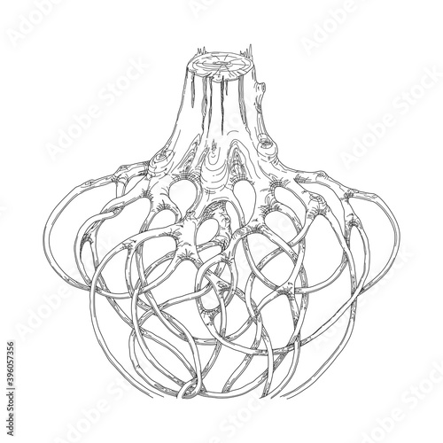 The stump of a tree with intertwined roots. Linear drawing on an isolated white background.