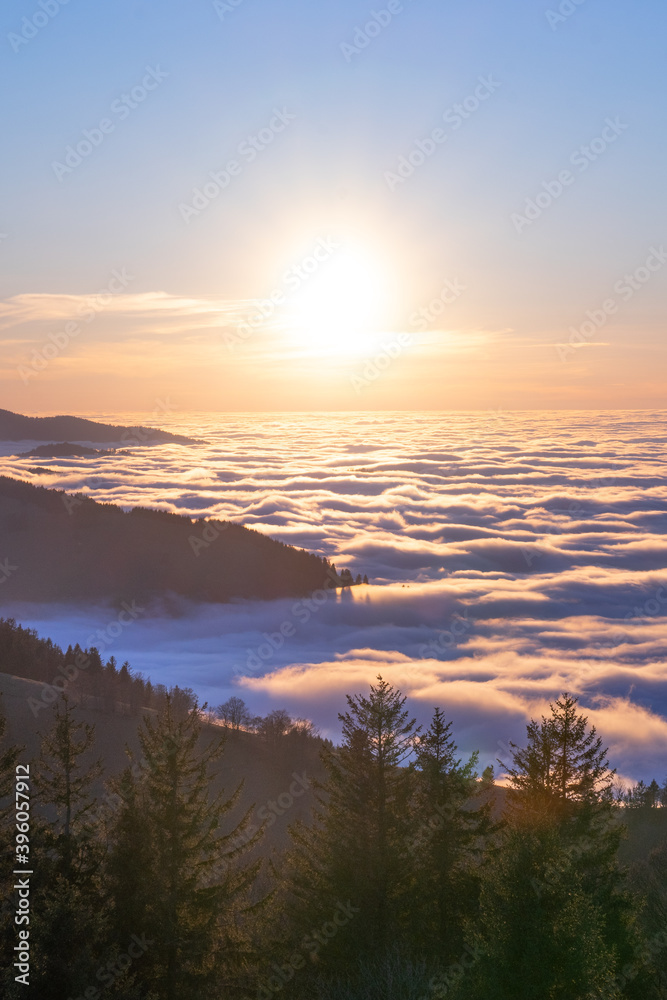 Obraz premium Sonnenaufgang im Schwarzwald vor Wolkendecke